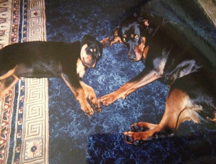 Baxter and Pepper strike a pose