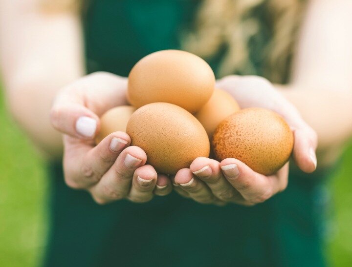 egg donor regret feat